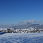 SONY DSC